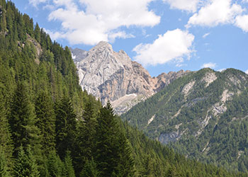 Rooms for rent and B&B in Canazei in Canazei - Scenery - Photo ID 217