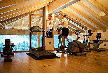 4 stars Superior Hotels in Canazei (****S) in Canazei - Wellness - Photo ID 420