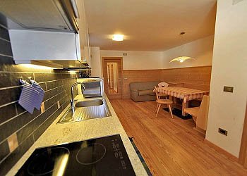 Apartment in Canazei - app 1 - Photo ID 211